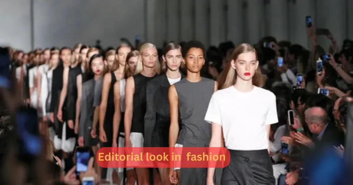 Why Editorial Fashion Matters